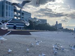 -台场海滨公园船码头
