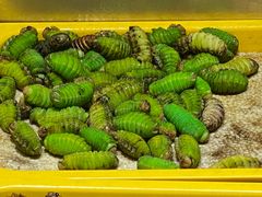 -映像威海·海鲜味道(市区店)