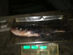 -姥家大锅台水库渔家