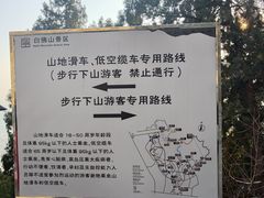 -白佛山景区