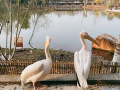 -黄龙溪欢乐田园