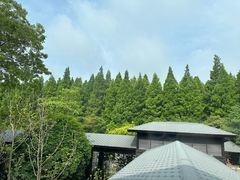 -黄海国家森林公园