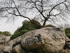 -无锡梅园公园