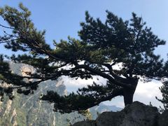 -老界岭旅游度假区