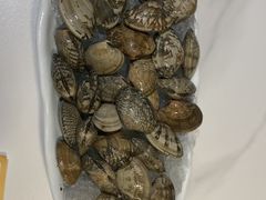 -椰子湾·海南火锅·糟粕醋·椰子鸡(正大广场店)