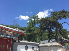 -阳台山自然风景区