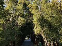 -同里国家湿地公园