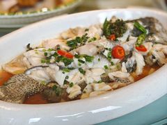 -陶缘一号·四季缘·老字号顺德菜·户外婚礼家宴(西滘店)
