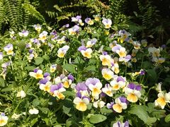 -上海东湖宾馆