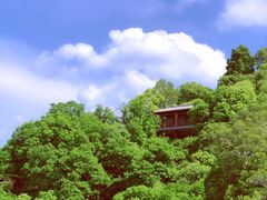 -少华山国家森林公园