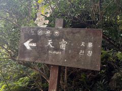 -雁荡山风景名胜区-朝阳洞