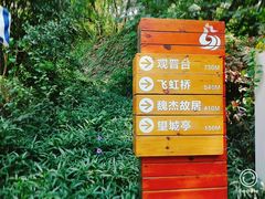 -金鸡山公园