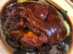 -常州环球恐龙城维景国际大酒店