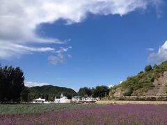 iphone_upload_pic-紫海香堤香草艺术庄园