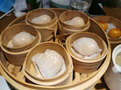 水晶虾饺-南小馆(迪士尼小镇店)