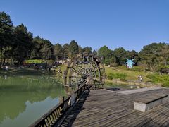 -铁山坪森林公园