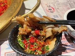 -新哥老官·畅吃123·美蛙世界(苏宁广场店)