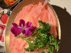 -小龙坎火锅(全球旗舰店)