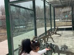 -水上乐园·欢乐世界