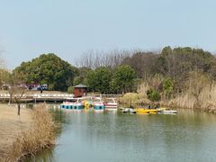 -南湖湿地公园