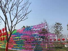 -南通鲜花小镇