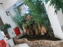 -大龙火锅(龙潭寺旗舰店)