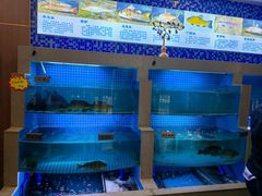 -瑞琳阿尔泰冷水鱼(康源财富中心店)