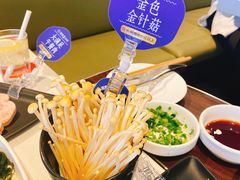 -海底捞火锅(锦艺城店)