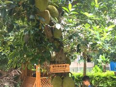 -北海金海湾红树林生态旅游区