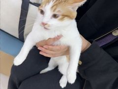 -美联众合动物医院·24h京西诊疗中心