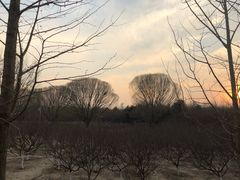 -黄寺蒸汽海鲜(黄寺大街店)