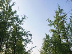 -石家庄市植物园