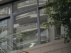 -金鸡山公园
