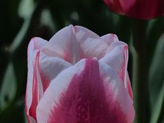 -玄武湖景区-情侣园游乐场