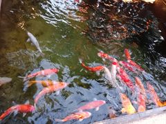 -四季广场 (东坑镇店)