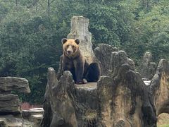 -杭州野生动物世界