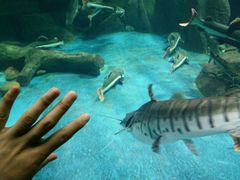 -多彩贵州城极地海洋世界