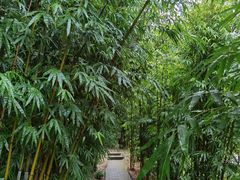 -武汉姚家山旅游景区