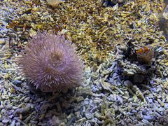 -沙沙哗啦海洋馆(华宇百花谷店)