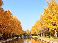 -玲珑塔公园