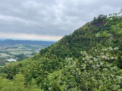 -江郎山风景名胜区