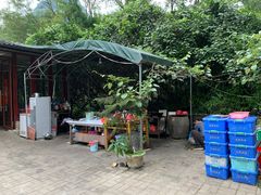 -柴火农家饭(遇龙河店)