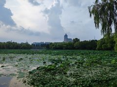 -长春市南湖公园