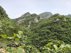 -大连天门山国家森林公园