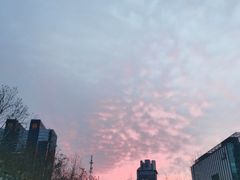 -花千代秘制烤鱼(曼哈顿店)