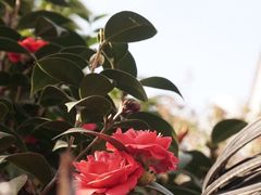 -厦门良筑精品酒店(厦门中山路店)