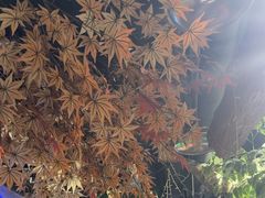 -城墙拐拐火锅(三峡广场黑金冠店)