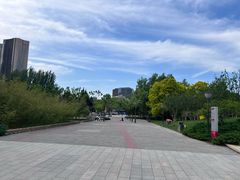 -大望京公园