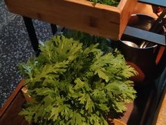 -盡膳口福跷脚牛肉火锅(北美新天地店)