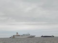 -上海滨江森林公园